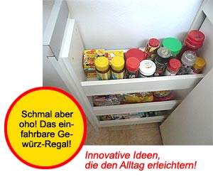innovative Tinyhaus-Ideen