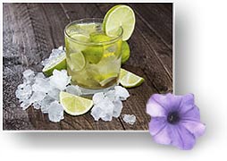 Noble Einfahrt mit Foyer