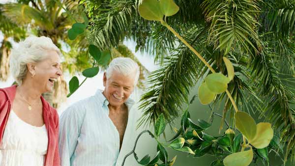 paraguay sicheres investment