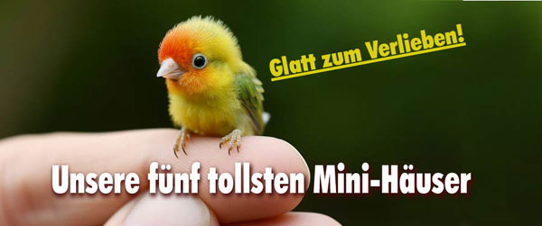 unsere tollsten 5 Mini-Häuser